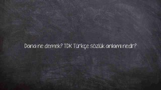 Dana ne demek? TDK Türkçe sözlük anlamı nedir?