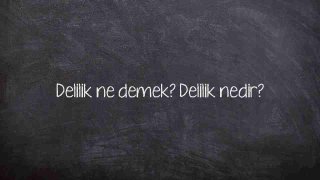 Delilik ne demek? Delilik nedir?