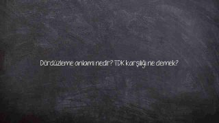 Dördüzleme anlamı nedir? TDK karşılığı ne demek?