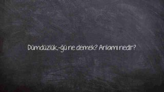 Dümdüzlük,-ğü ne demek? Anlamı nedir?