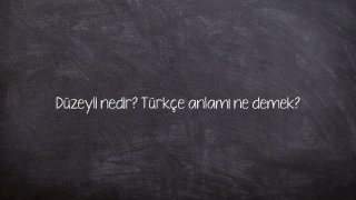 Düzeyli nedir? Türkçe anlamı ne demek?