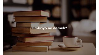 Embriyo ne demek? TDK Türkçe sözlük anlamı nedir?