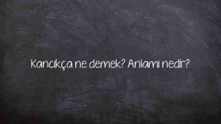 Kancıkça ne demek? Anlamı nedir?