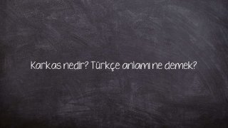 Karkas nedir? Türkçe anlamı ne demek?