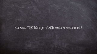 Karyola TDK Türkçe sözlük anlamı ne demek?