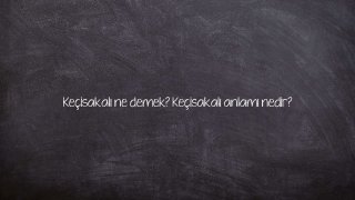 Keçisakalı ne demek? Keçisakalı anlamı nedir?