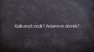 Kızılkanat nedir? Anlamı ne demek?