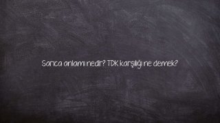 Sarıca anlamı nedir? TDK karşılığı ne demek?