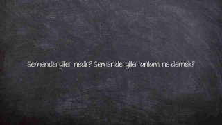 Semendergiller nedir? Semendergiller anlamı ne demek?