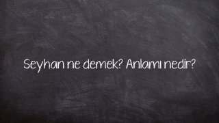 Seyhan ne demek? Anlamı nedir?