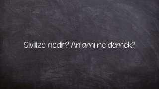 Sivilize nedir? Anlamı ne demek?