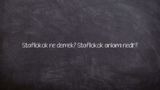 Stafilokok ne demek? Stafilokok anlamı nedir?