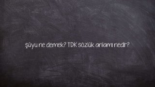 şüyu ne demek? TDK sözlük anlamı nedir?