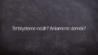 Terbiyeleme nedir? Anlamı ne demek?