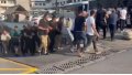 İstanbul merkezli 4 ilde Kuyu-11 Operasyonu... Bakan Yerlikaya: 61 şüpheli yakalandı 