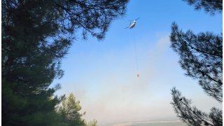 Hatay'da çıkan orman yangını kontrol altına alındı