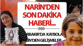 Narin bulundu mu? SON DAKİKA HABERLERİ | Diyarbakır'da kaybolan kız Narin'in ağabeyi için Adli Tıp raporu açıklandı.. 30 Ağustos 2024 gelişmeleri!