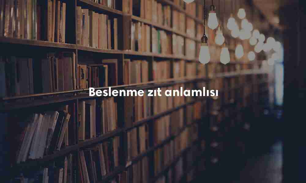 Beslenme nedir? Beslenme anlamı ne demek?